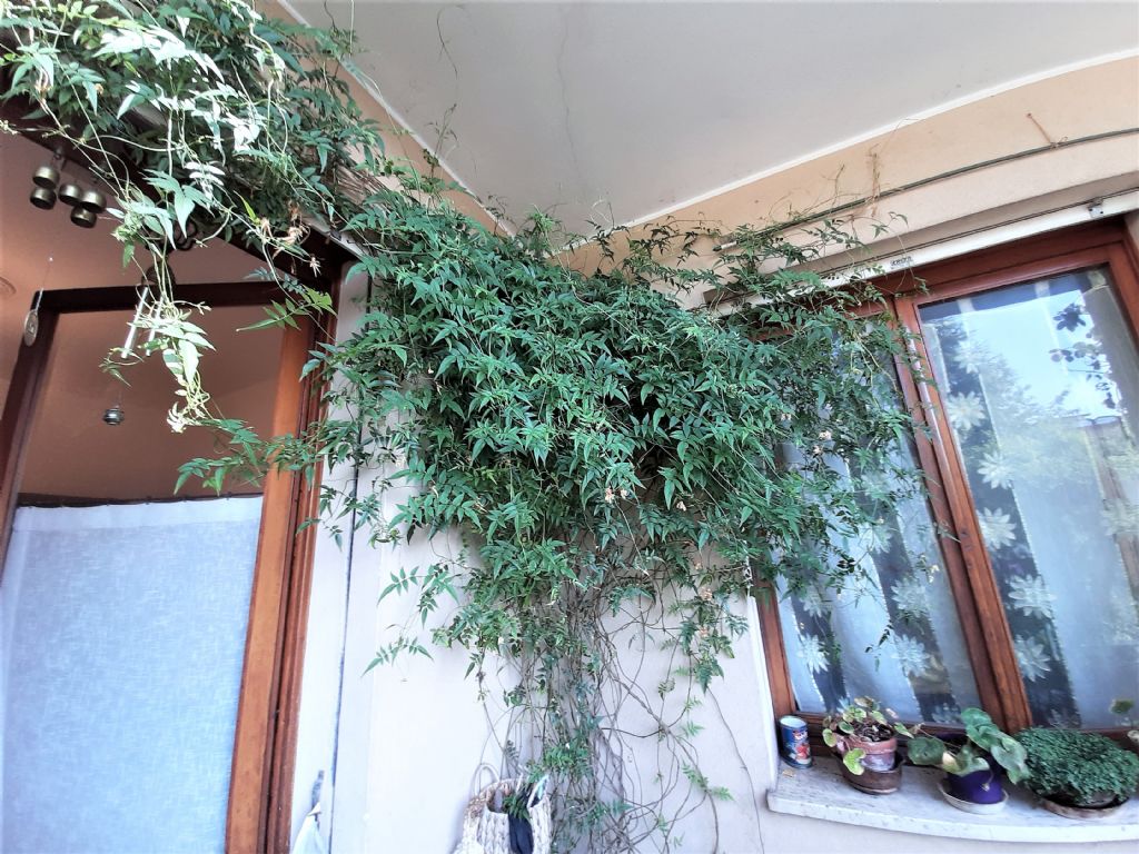 Disinfestare il nido?